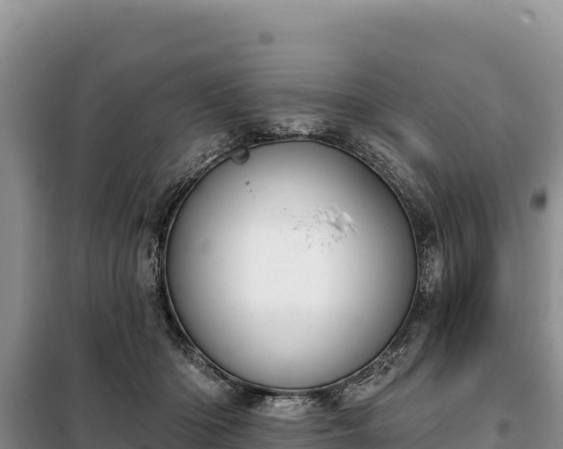 X0000099320414200805091046