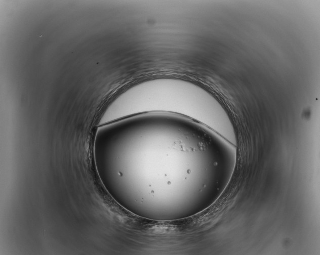 X0000099320415200805091046