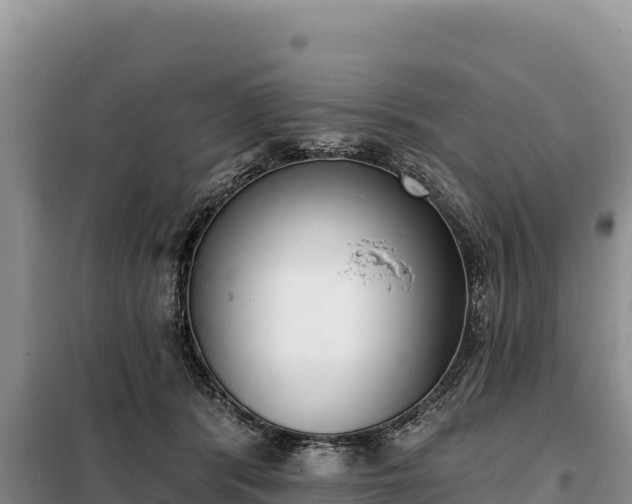 X0000099320416200805091046