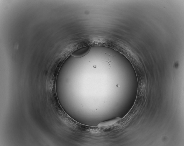 X0000099320417200805091046