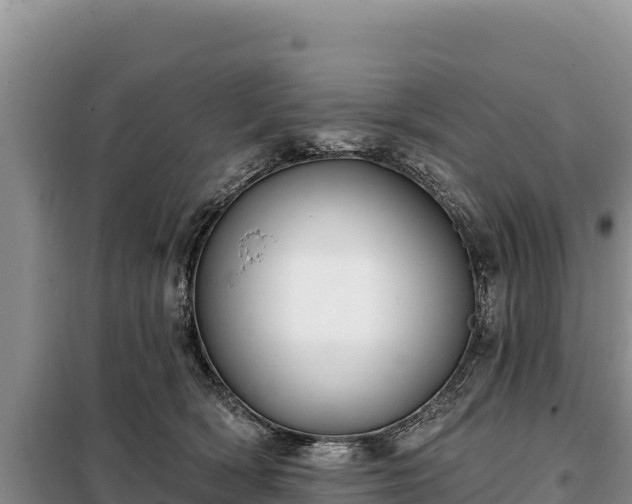 X0000099320418200805091046