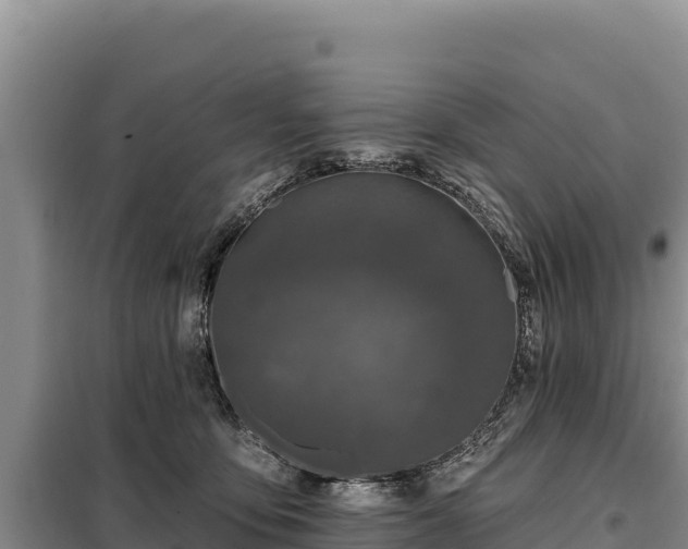 X0000099320419200805091046