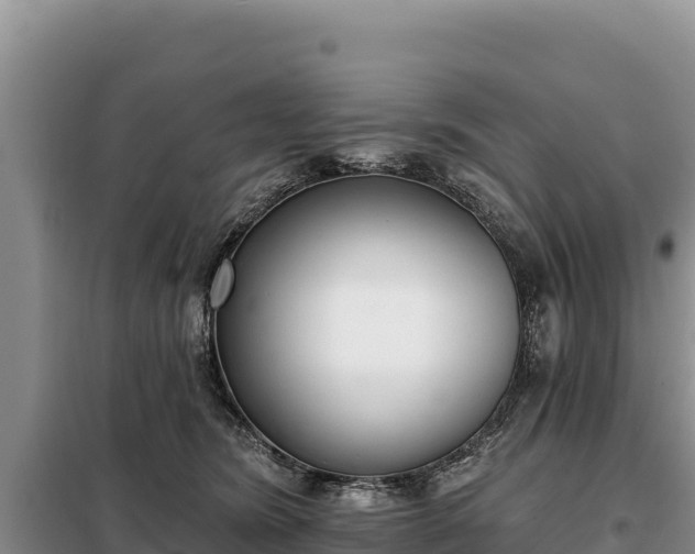 X0000099320420200805091046