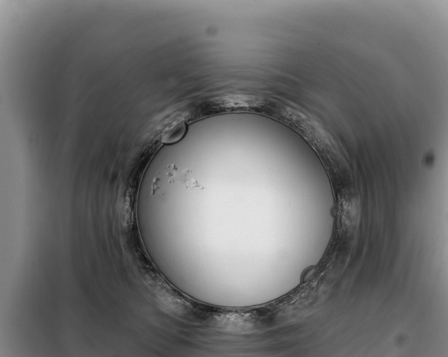 X0000099320422200805091046