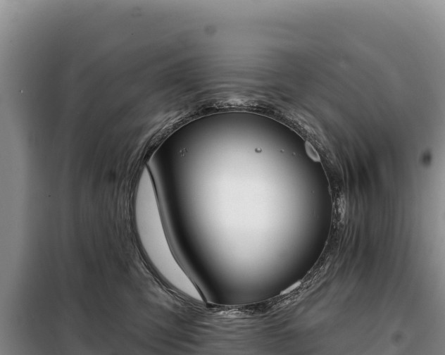 X0000099320423200805091046