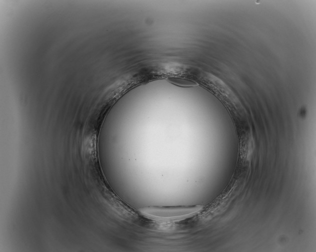 X0000099320425200805091046