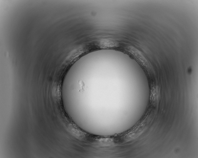 X0000099320426200805091046