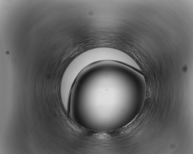 X0000099320427200805091046