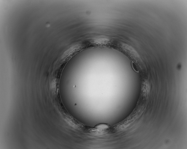 X0000099320428200805091046