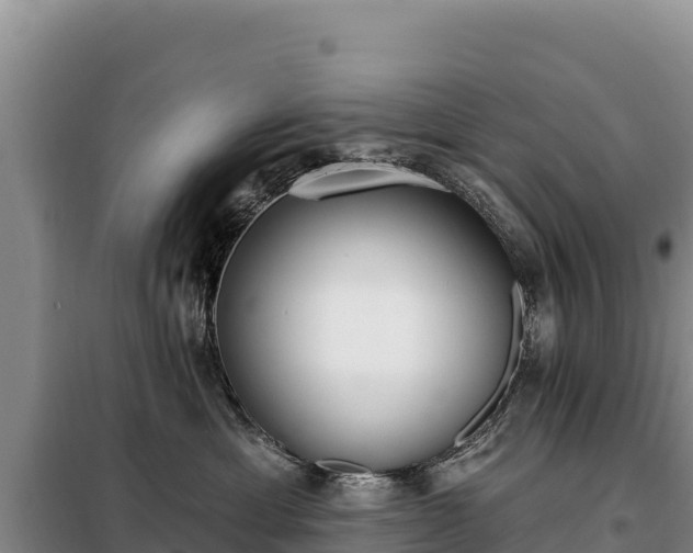 X0000099320429200805091046