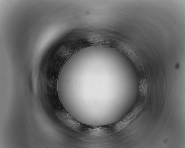 X0000099320430200805091046