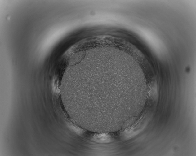 X0000099320431200805091046