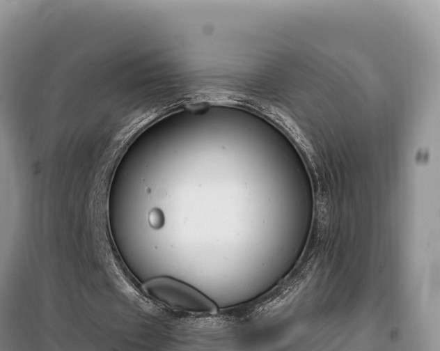 X0000099320433200805091045