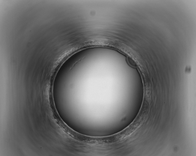 X0000099320434200805091045