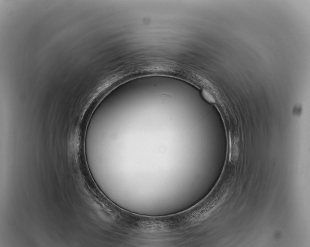 X0000099320435200805091045