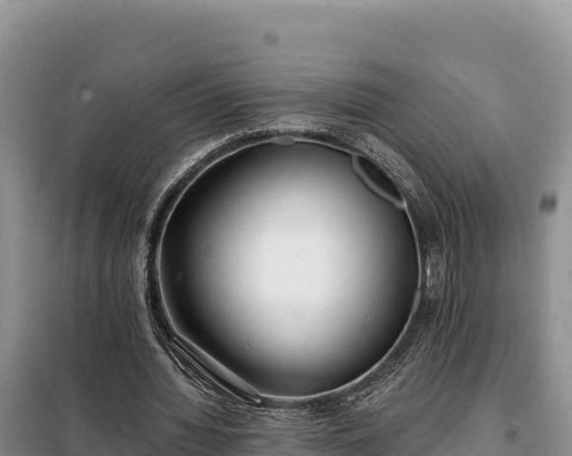 X0000099320436200805091045