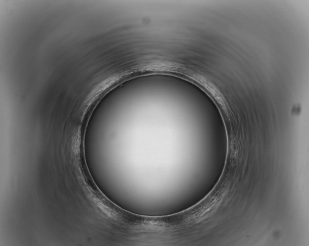 X0000099320437200805091045