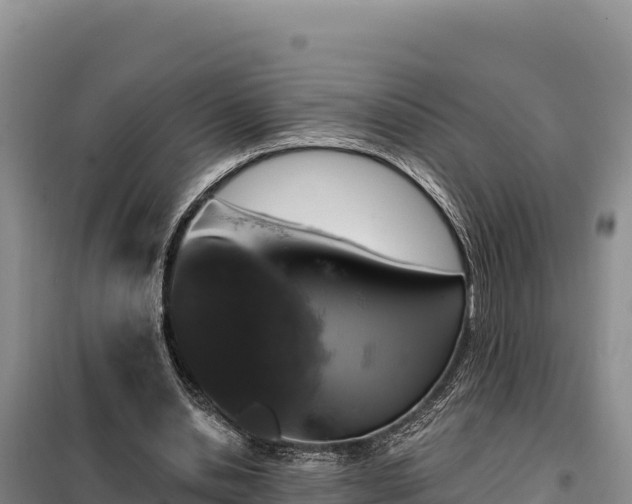 X0000099320438200805091045