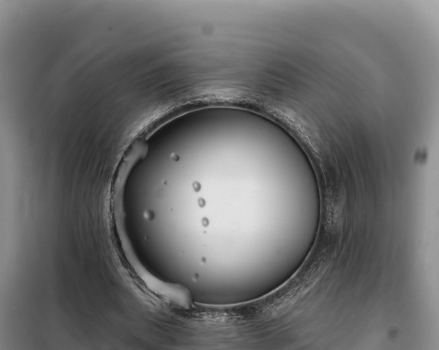 X0000099320439200805091045