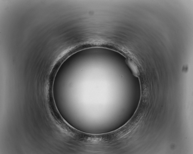 X0000099320440200805091045