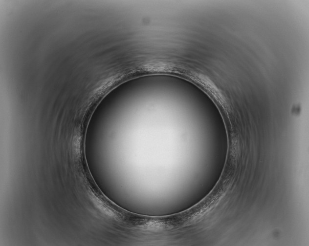 X0000099320441200805091045