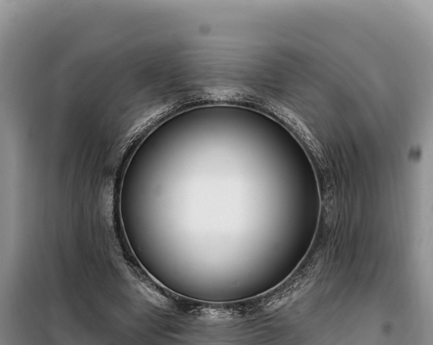 X0000099320442200805091045