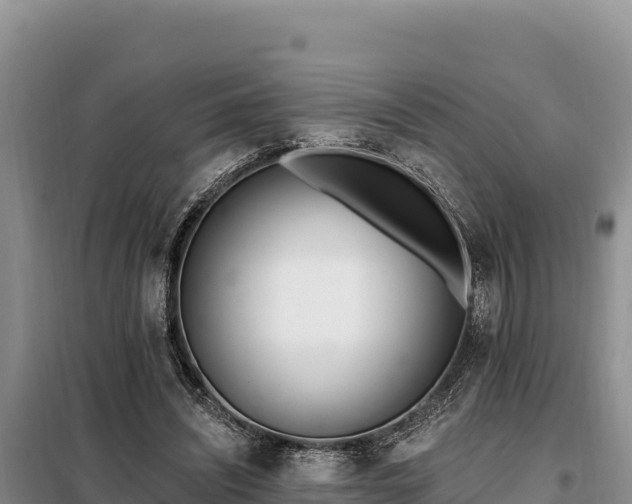 X0000099320444200805091045