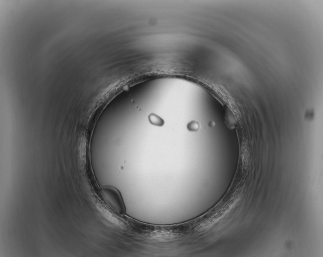 X0000099320445200805091045