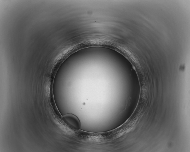 X0000099320446200805091045