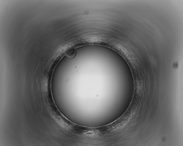 X0000099320447200805091045