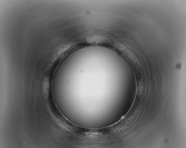 X0000099320448200805091045