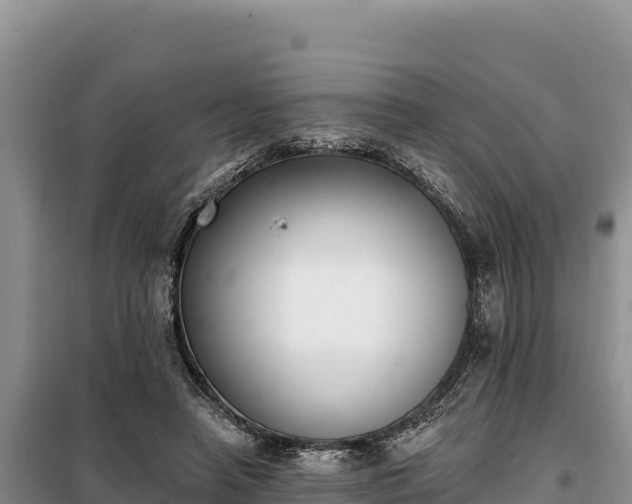 X0000099320450200805091045