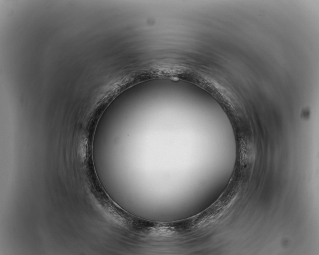 X0000099320451200805091045