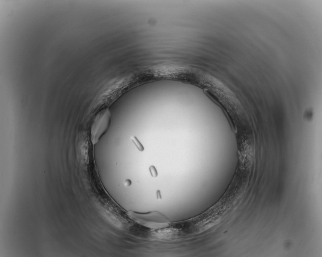 X0000099320452200805091045