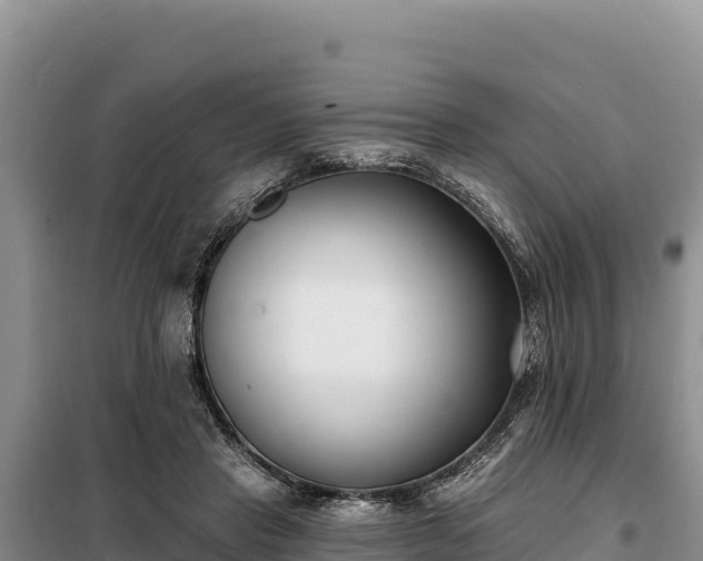 X0000099320453200805091045