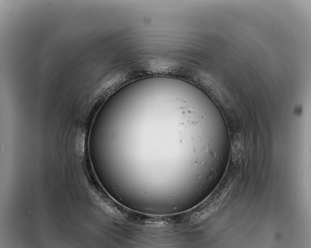 X0000099320454200805091045