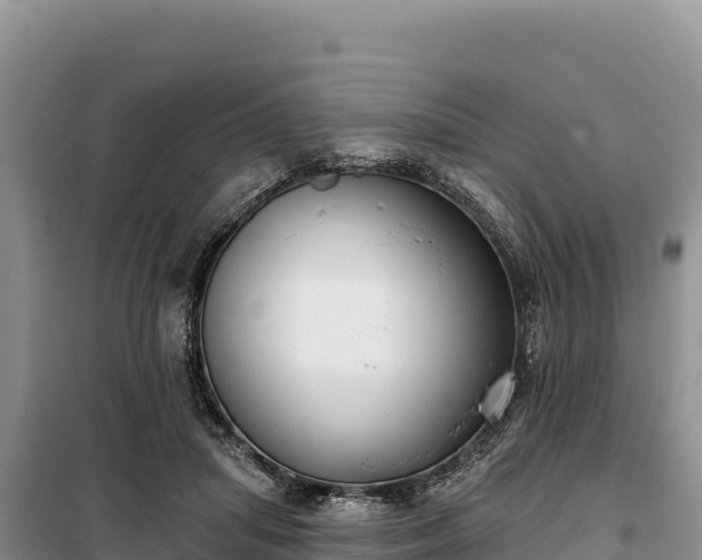 X0000099320455200805091045