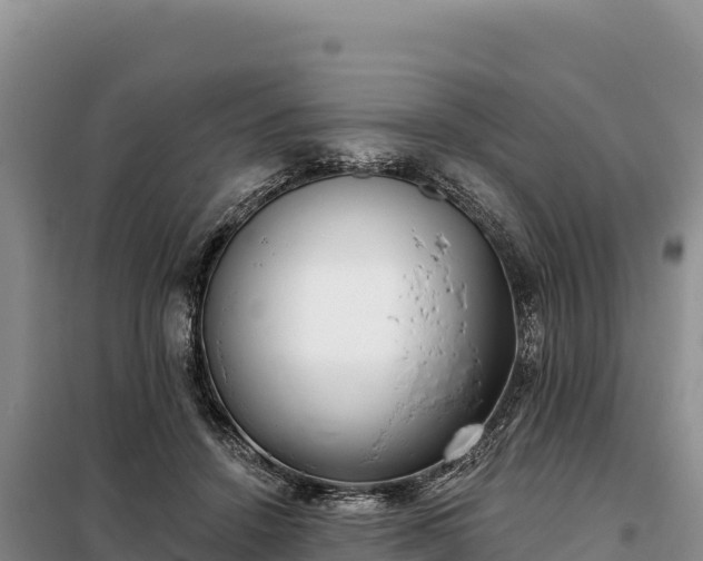 X0000099320456200805091045