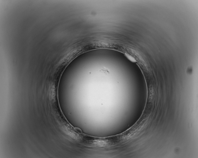 X0000099320457200805091045