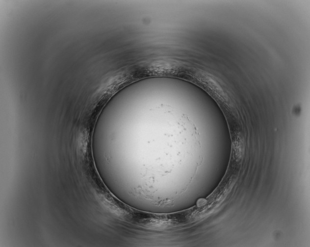 X0000099320458200805091045