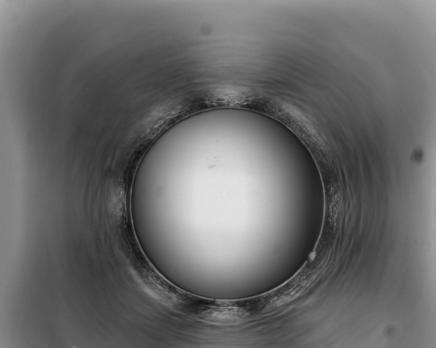 X0000099320459200805091045