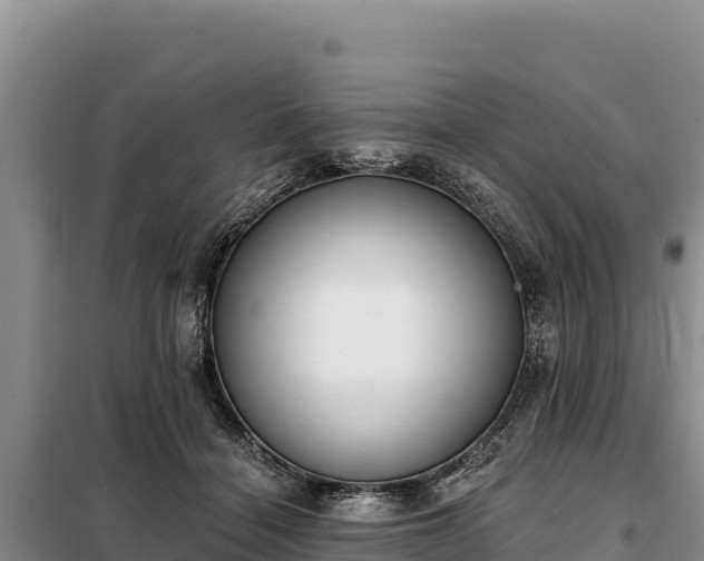 X0000099320460200805091045