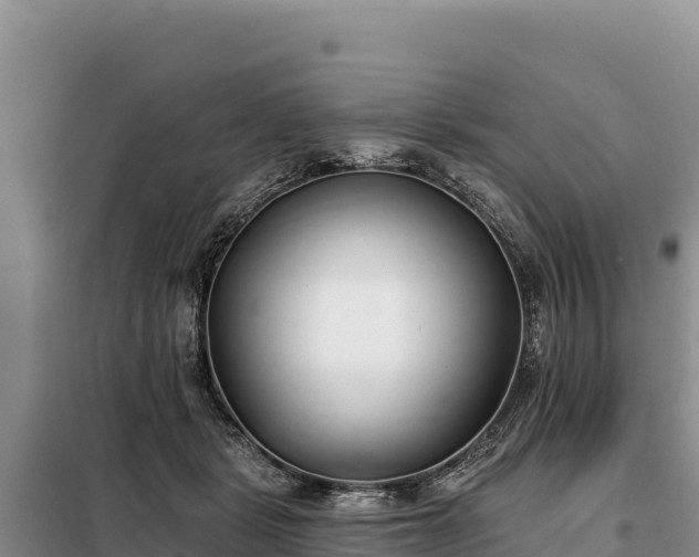 X0000099320461200805091045