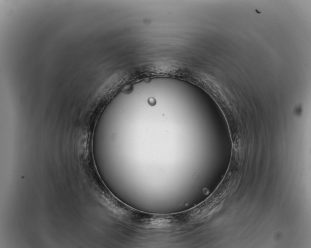 X0000099320462200805091045