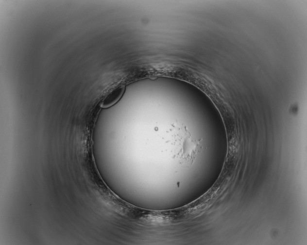 X0000099320464200805091045