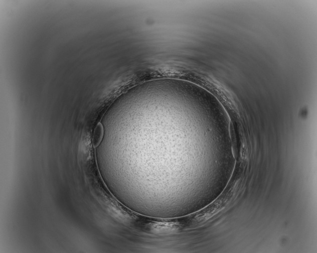 X0000099320465200805091045