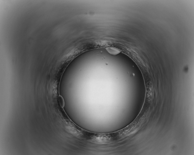 X0000099320466200805091045