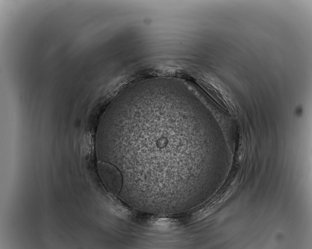 X0000099320467200805091045