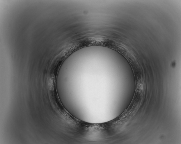 X0000099320468200805091045