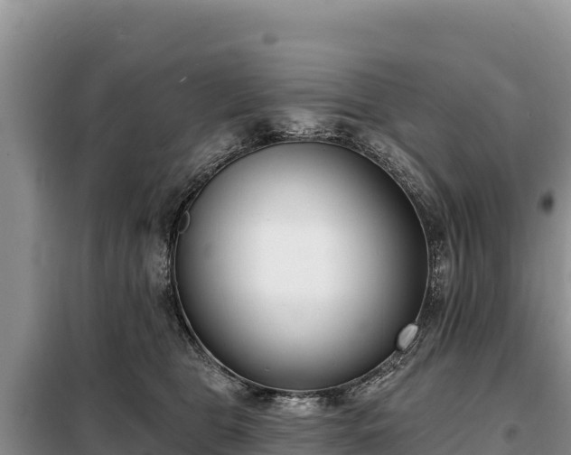 X0000099320469200805091045